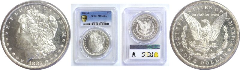1881-S Morgan Dollar.  -  PCGS MS-66 PL