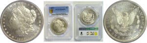 1899 Morgan Dollar  -  PCGS MS-66 PL