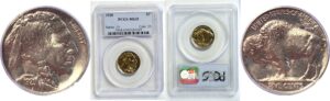 1920 Buffalo Nickel  -  PCGS MS-65