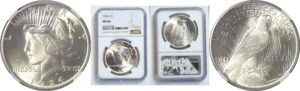 1924 Peace Dollar  -  NGC MS-66