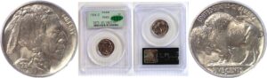 1934-D Buffalo Nickel  -  PCGS MS-65  CAC