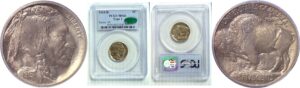 1913-D T-1. Buffalo Nickel  -  PCGS MS-66  CAC